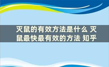 灭鼠的有效方法是什么 灭鼠最快最有效的方法 知乎